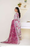 Cinderella01 CS08